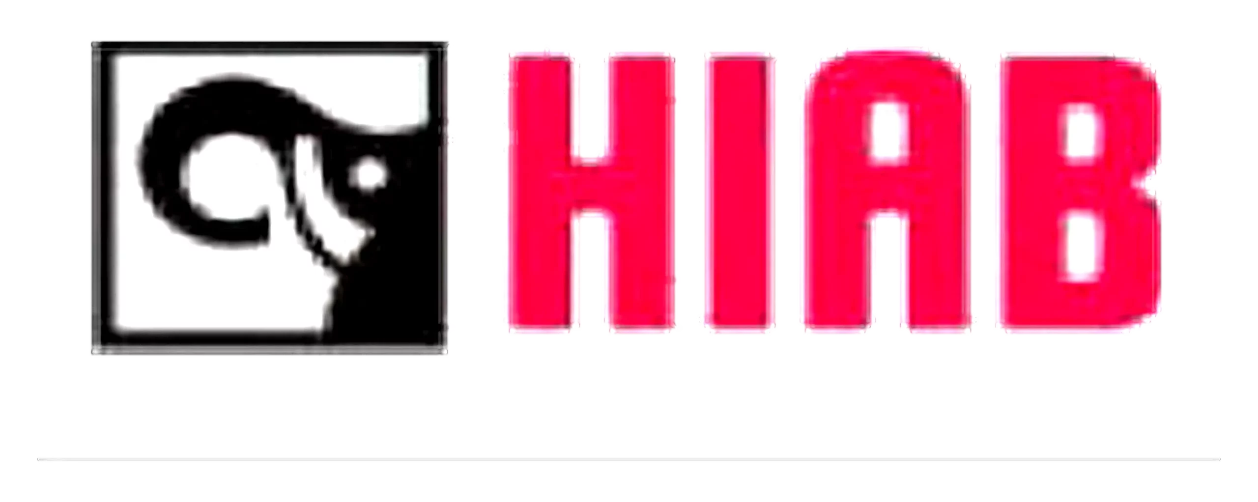 HIAB - Load Handling Solutions
